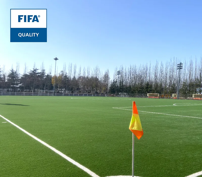 Campo B6 de la escuela de fútbol Shandong Luneng Taishan - Certificado FIFA