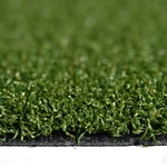 MS LSR MF D COLOER TXT