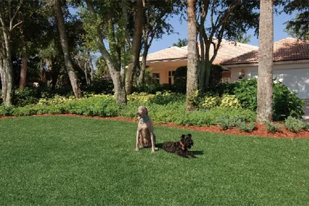 Casos de éxito relacionados